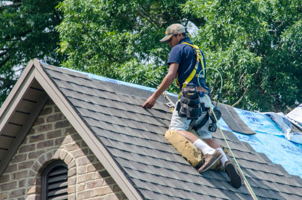 Trusted Peosta, IA Roofing Contractor Experts